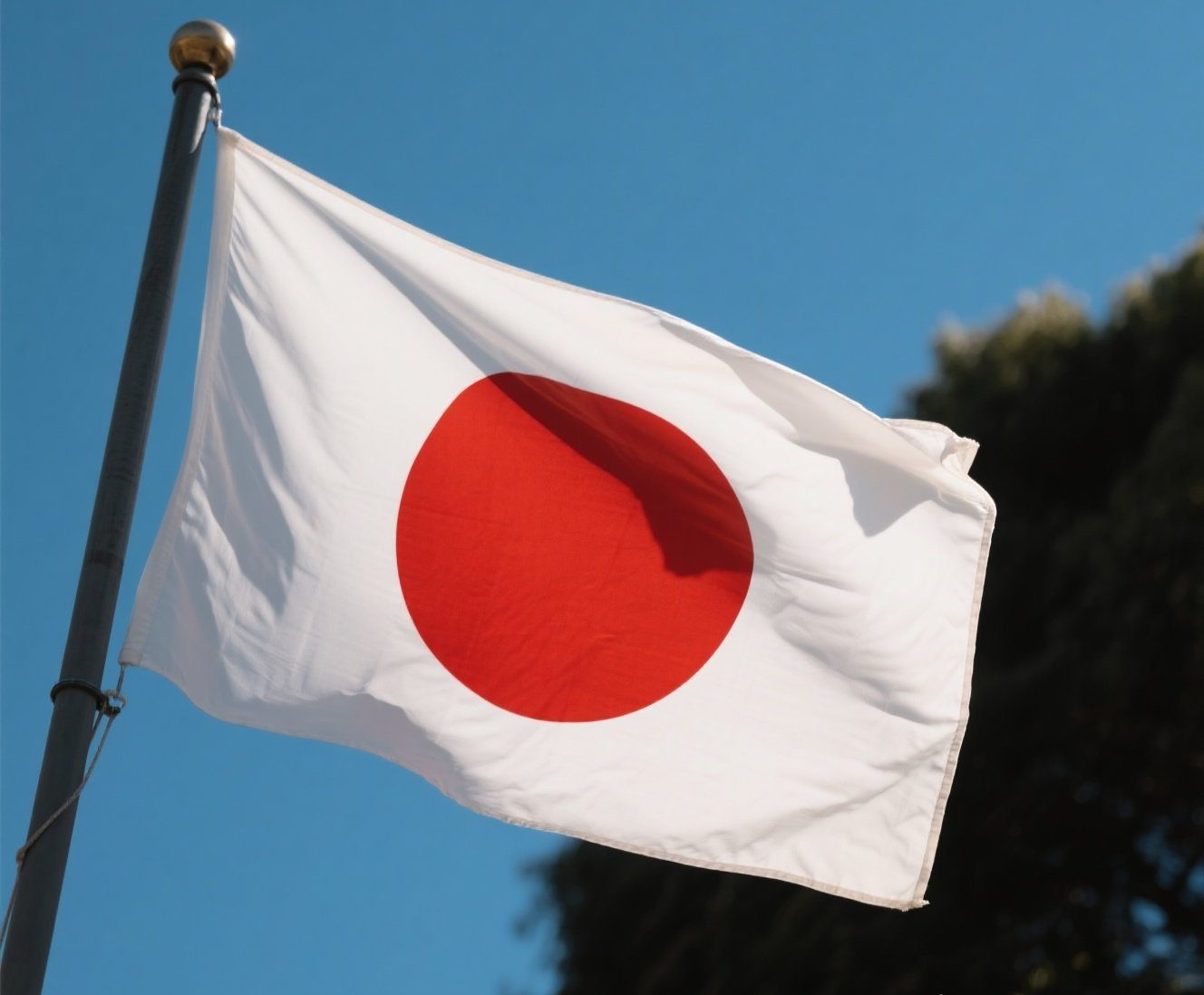 TikTok日本站将于明日正式开放!附入驻指南!